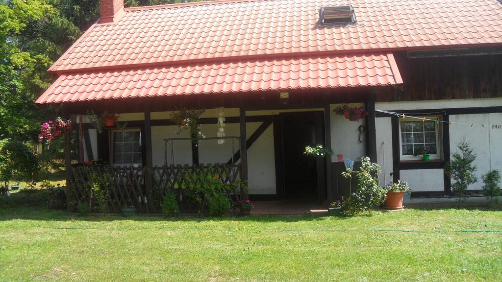 Agroturystyka Pod Debami W Klukach Smołdzino Exteriör bild