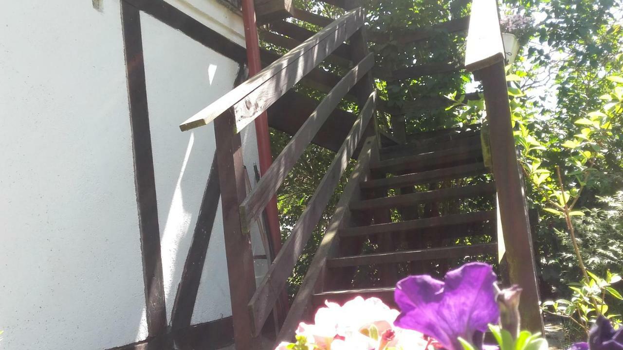 Agroturystyka Pod Debami W Klukach Smołdzino Exteriör bild